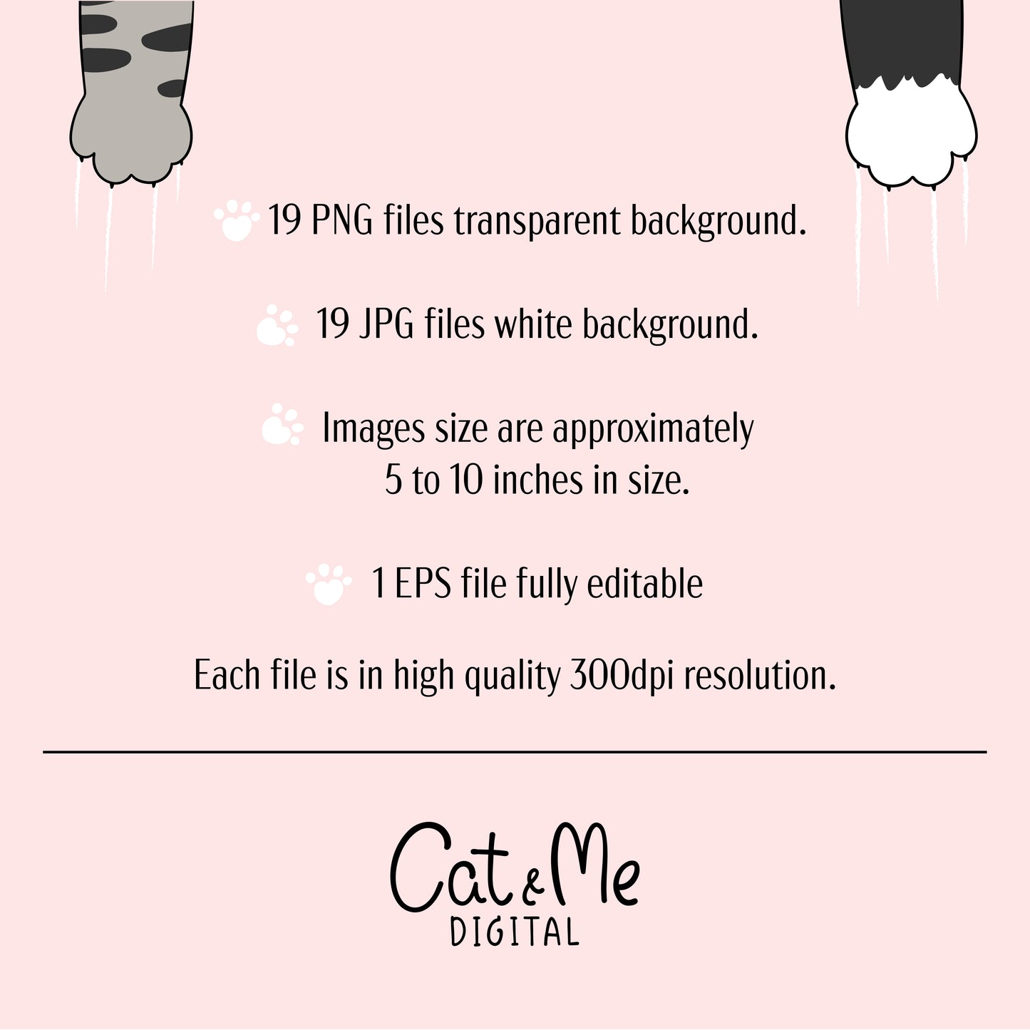 Coquette pink bows clipart Bow and frame clipart