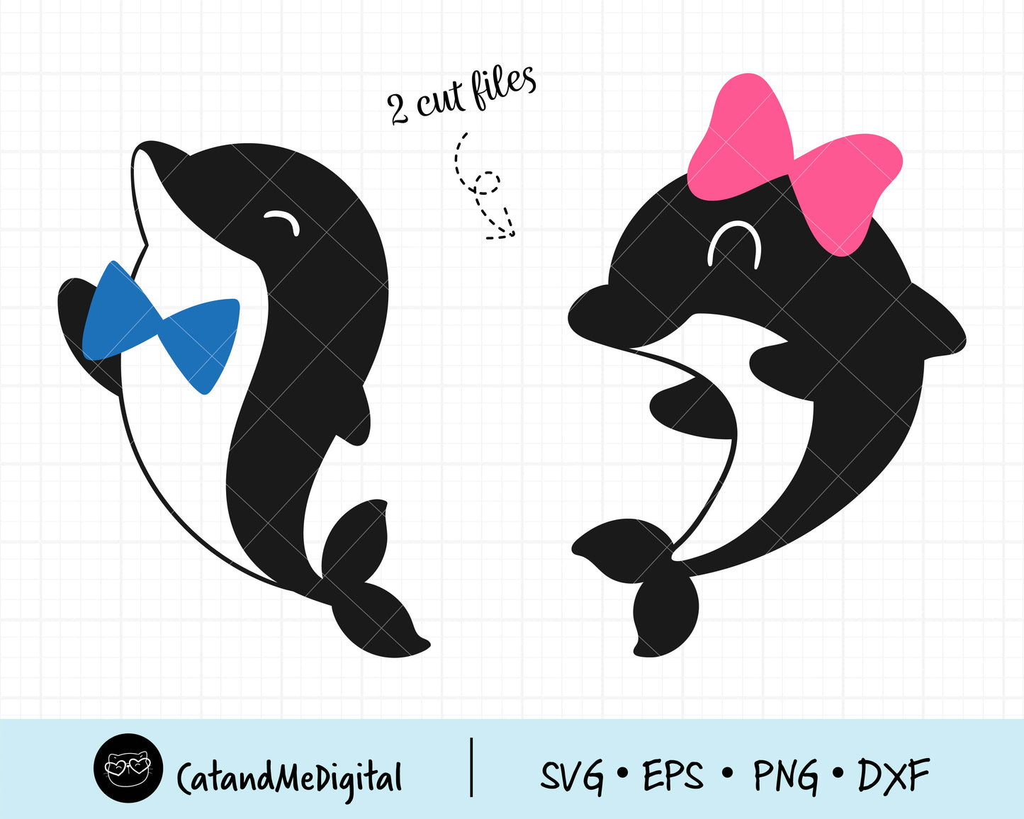 Cute Dolphin Birthday Svg