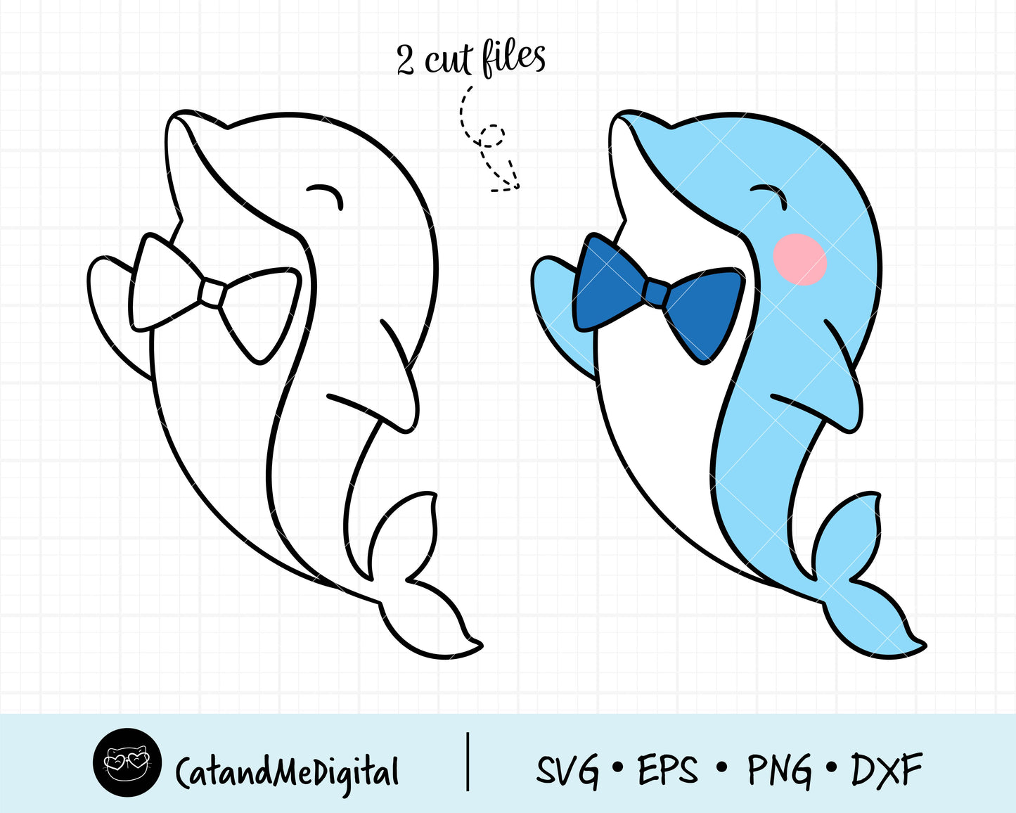 Dolphin Boy Birthday Svg